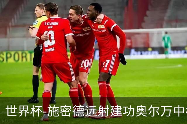 世界杯-施密德远射建功奥尔万中框 半场奥地利1-0约旦